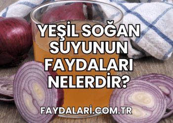 Yeşil Soğan Suyunun Faydaları Nelerdir?