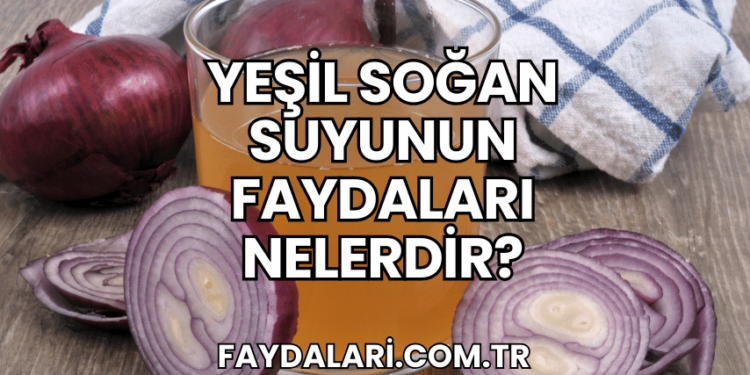 Yeşil Soğan Suyunun Faydaları Nelerdir?