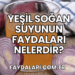 Yeşil Soğan Suyunun Faydaları Nelerdir?