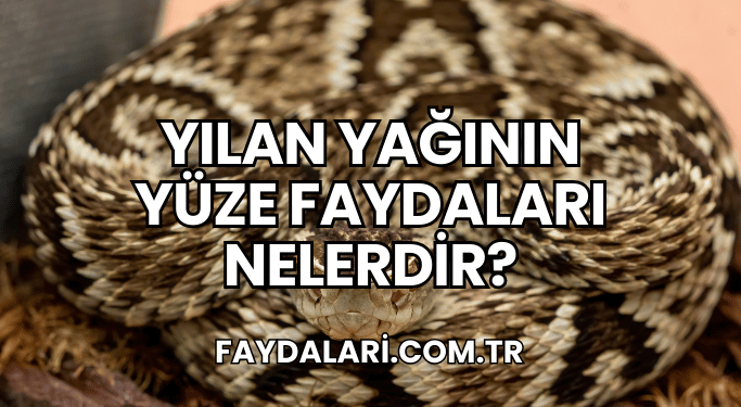 Yılan Yağının Yüze Faydaları Nelerdir?