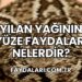 Yılan Yağının Yüze Faydaları Nelerdir?