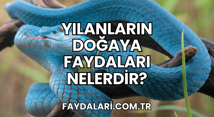 Yılanların Doğaya Faydaları Nelerdir?