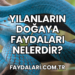 Yılanların Doğaya Faydaları Nelerdir?