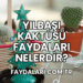 Yılbaşı Kaktüsü faydaları Nelerdir?