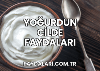 Yoğurdun Cilde Faydaları