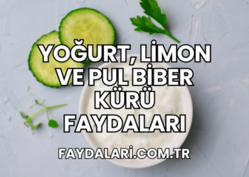 Yoğurt, Limon ve Pul Biber Kürü Faydaları