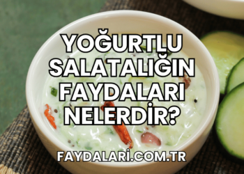 Yoğurtlu Salatalığın Faydaları Nelerdir?