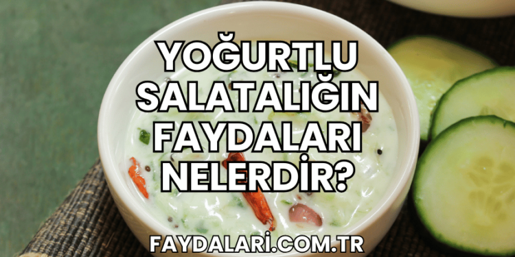 Yoğurtlu Salatalığın Faydaları Nelerdir?