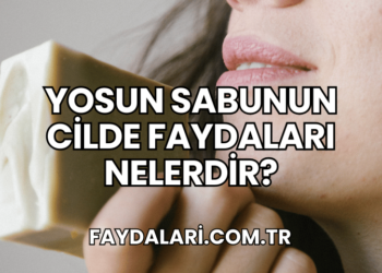 Yosun Sabunun Cilde Faydaları Nelerdir?