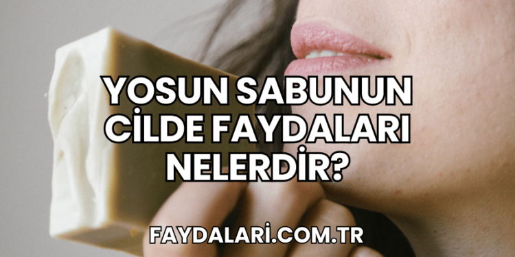 Yosun Sabunun Cilde Faydaları Nelerdir?