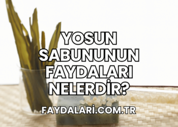 Yosun Sabununun Faydaları Nelerdir?