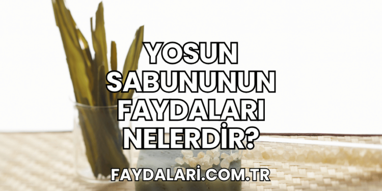 Yosun Sabununun Faydaları Nelerdir?