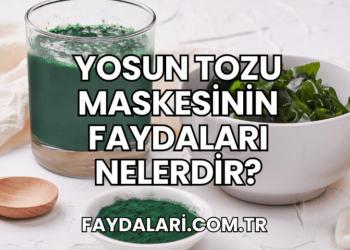 Yosun Tozu Maskesinin Faydaları Nelerdir?