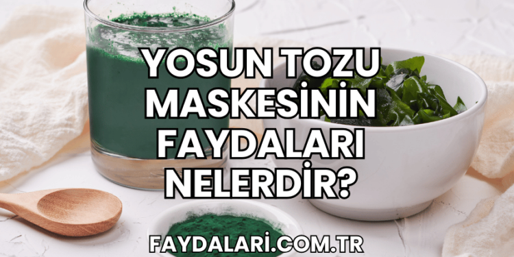 Yosun Tozu Maskesinin Faydaları Nelerdir?