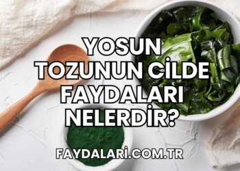 Yosun Tozunun Cilde Faydaları Nelerdir?