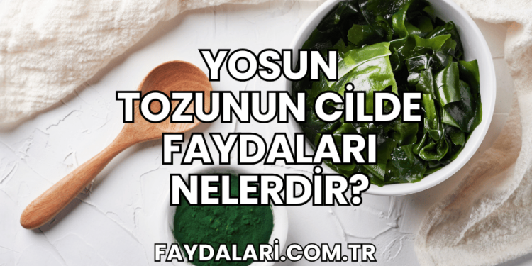 Yosun Tozunun Cilde Faydaları Nelerdir?