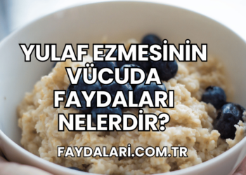 Yulaf Ezmesinin Vücuda Faydaları Nelerdir?
