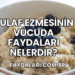 Yulaf Ezmesinin Vücuda Faydaları Nelerdir?