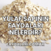Yulaf Sapının Faydaları Nelerdir?