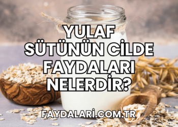 Yulaf Sütünün Cilde Faydaları Nelerdir?