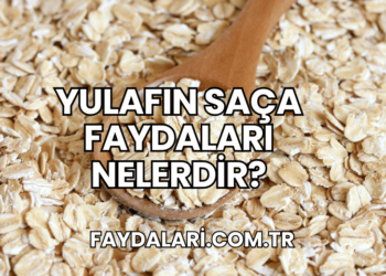 Yulafın Saça Faydaları Nelerdir?