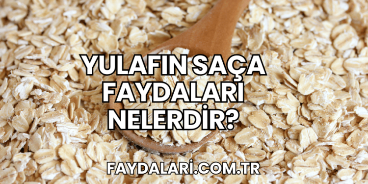 Yulafın Saça Faydaları Nelerdir?