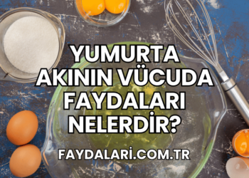 Yumurta Akının Vücuda Faydaları Nelerdir?