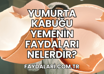 Yumurta Kabuğu Yemenin Faydaları Nelerdir?