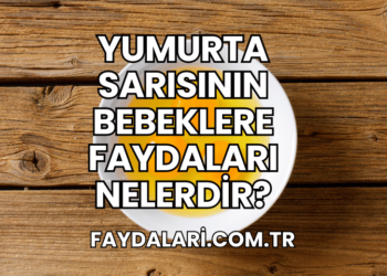 Yumurta Sarısının Bebeklere Faydaları Nelerdir?