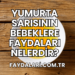Yumurta Sarısının Bebeklere Faydaları Nelerdir?