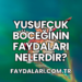 Yusufçuk Böceğinin Faydaları Nelerdir?