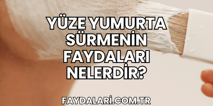 Yüze Yumurta Sürmenin Faydaları Nelerdir?