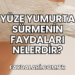 Yüze Yumurta Sürmenin Faydaları Nelerdir?