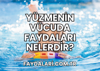 Yüzmenin Vücuda Faydaları Nelerdir?