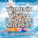 Yüzmenin Vücuda Faydaları Nelerdir?