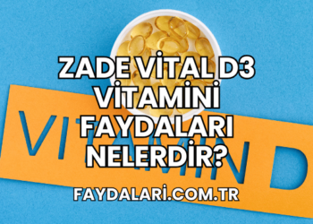 Zade Vital D3 Vitamini Faydaları Nelerdir?