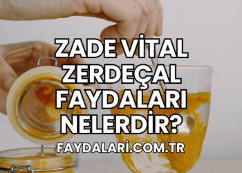 Zade Vital Zerdeçal Faydaları Nelerdir?