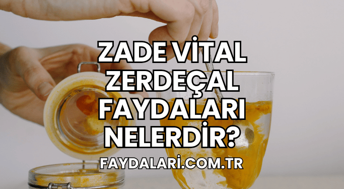 Zade Vital Zerdeçal Faydaları Nelerdir?