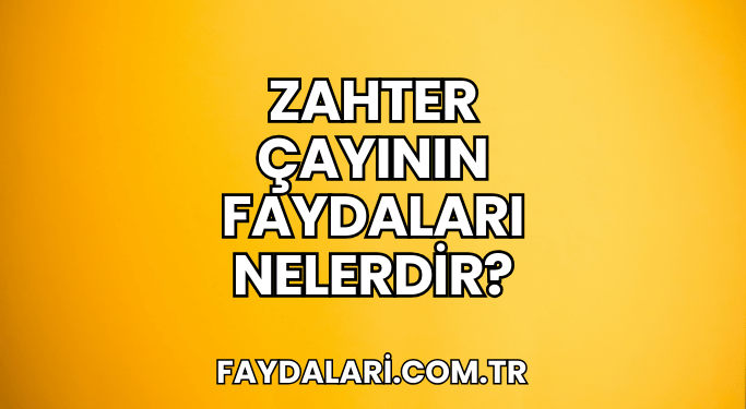 Zahter Çayının Faydaları Nelerdir?