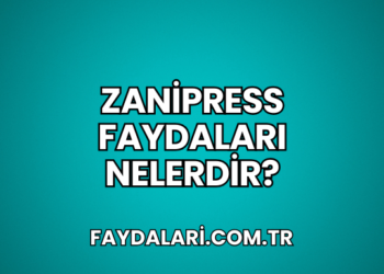 Zanipress Faydaları Nelerdir?