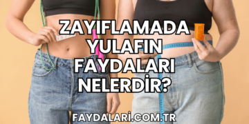 Zayıflamada Yulafın Faydaları Nelerdir?