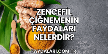 Zencefil Çiğnemenin Faydaları Nelerdir?