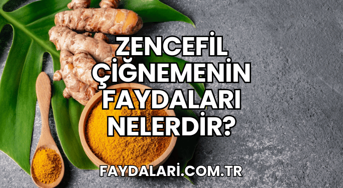 Zencefil Çiğnemenin Faydaları Nelerdir?