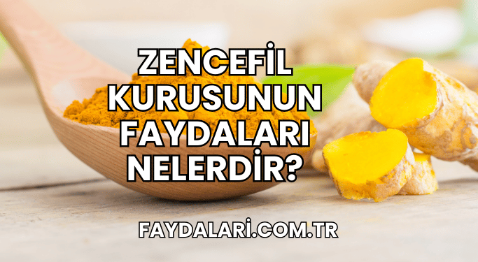Zencefil Kurusunun Faydaları Nelerdir?