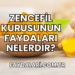 Zencefil Kurusunun Faydaları Nelerdir?