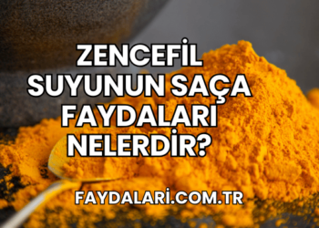 Zencefil Suyunun Saça Faydaları Nelerdir?