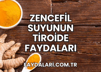 Zencefil Suyunun Tiroide Faydaları