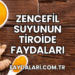 Zencefil Suyunun Tiroide Faydaları