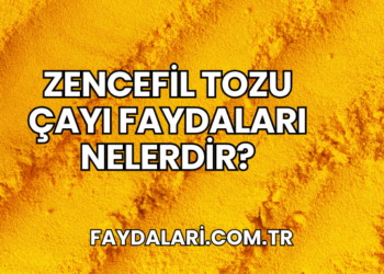 Zencefil Tozu Çayı Faydaları Nelerdir?