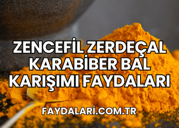 Zencefil Zerdeçal Karabiber Bal Karışımı Faydaları